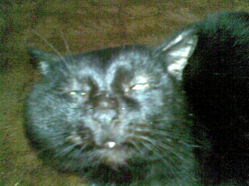 Александр Трушков | Оричи