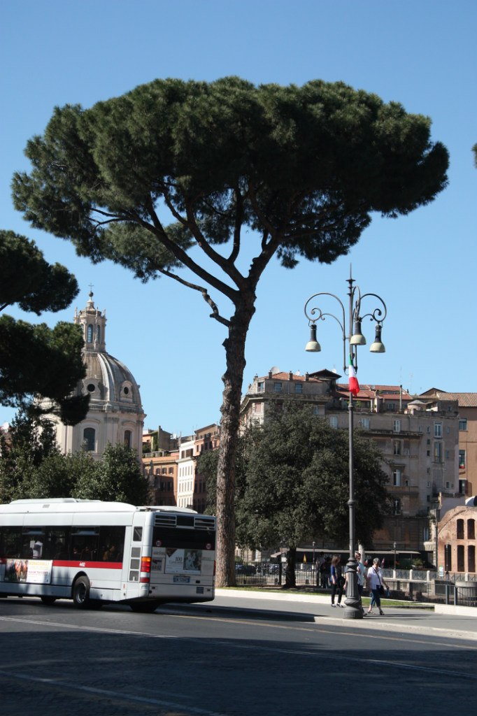 Ирина Щербакова ★(ИРЭН)★ | Троицк