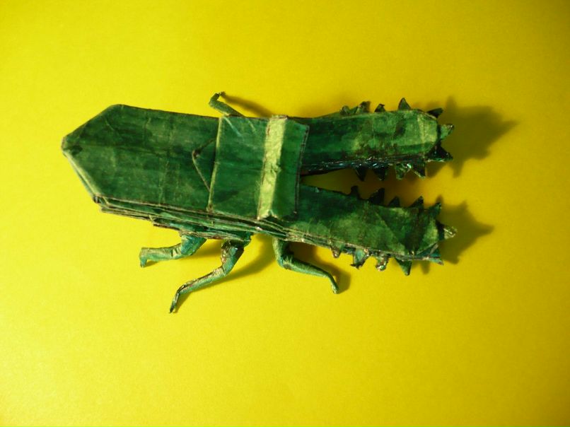 Андрей Егоров | Томск