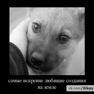 Анастасия Прекрасная | Каменец-Подольский