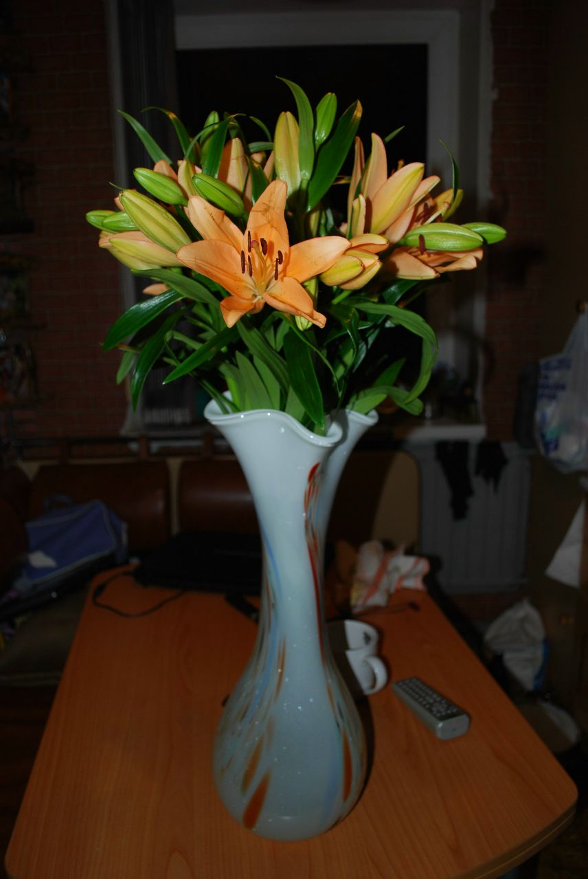 Евгения Мещанин | Санкт-Петербург