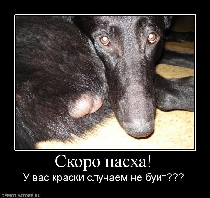 Евгений Речнов | Архангельск