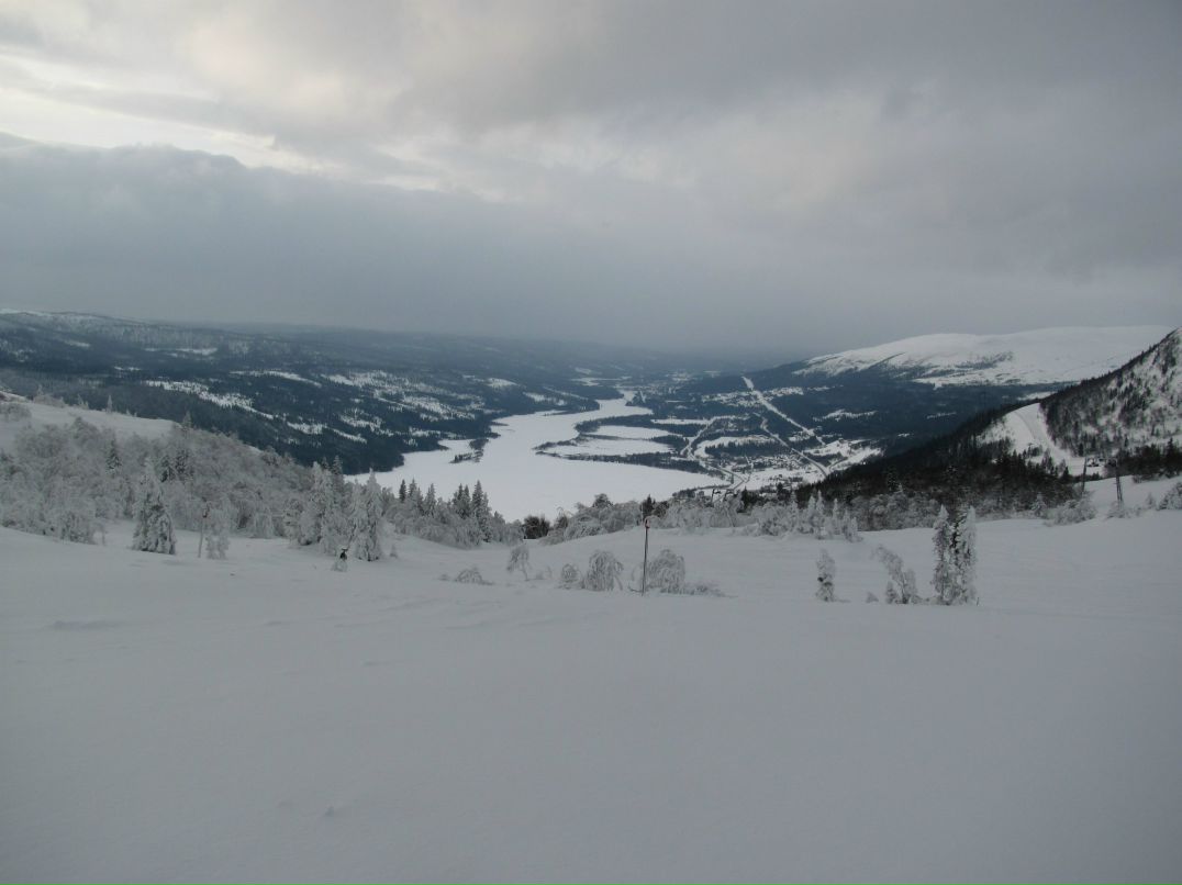Александр Катютин | Санкт-Петербург