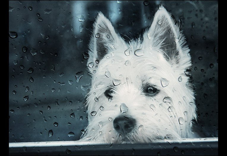 Виталька Сохацкий | Тольятти