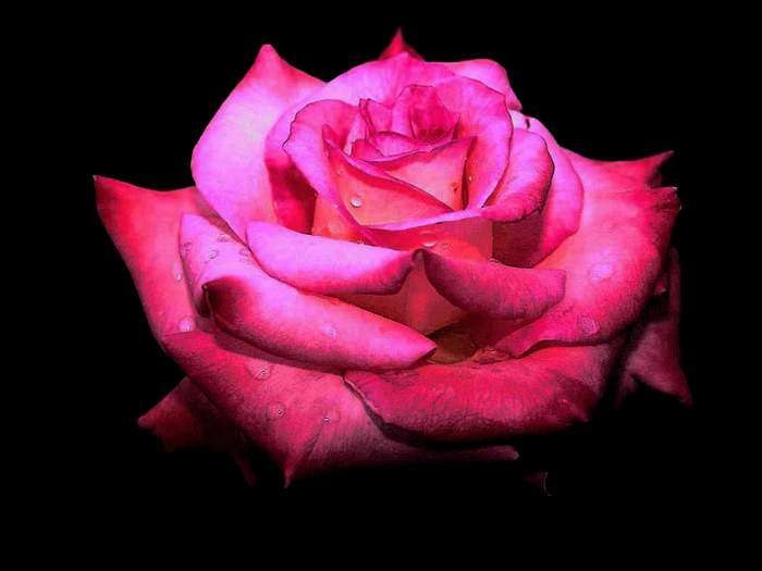 Михаил Сплиртов | Москва