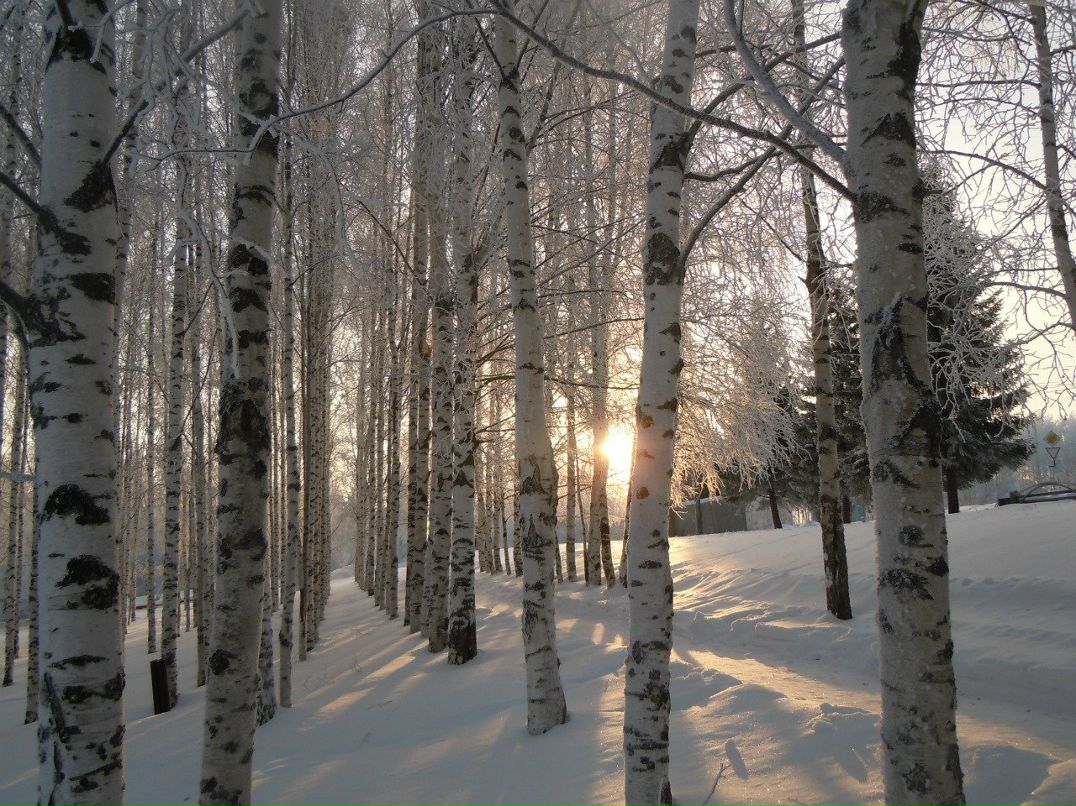 Валентина Мурзина (Пальянова) | Горноправдинск