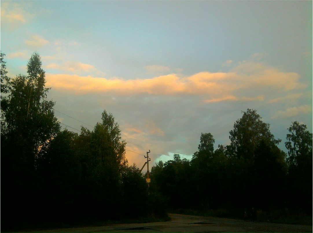 Anastasia Vinogradova | Санкт-Петербург