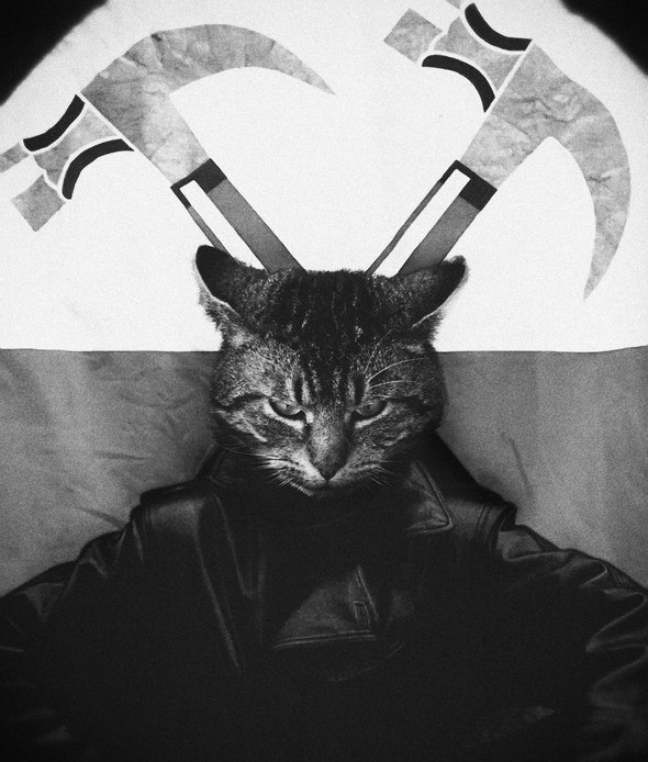 Максим Котов ★☆ΜΛΞΙΜΟΣ///☆★ | Москва