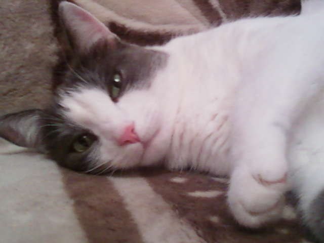 Юля Тузова | 