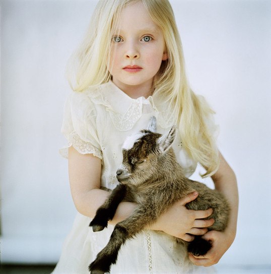 I The sheriff shot | 