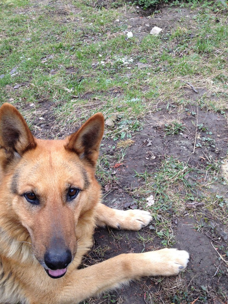 Стас Лопатинский | Иерусалим