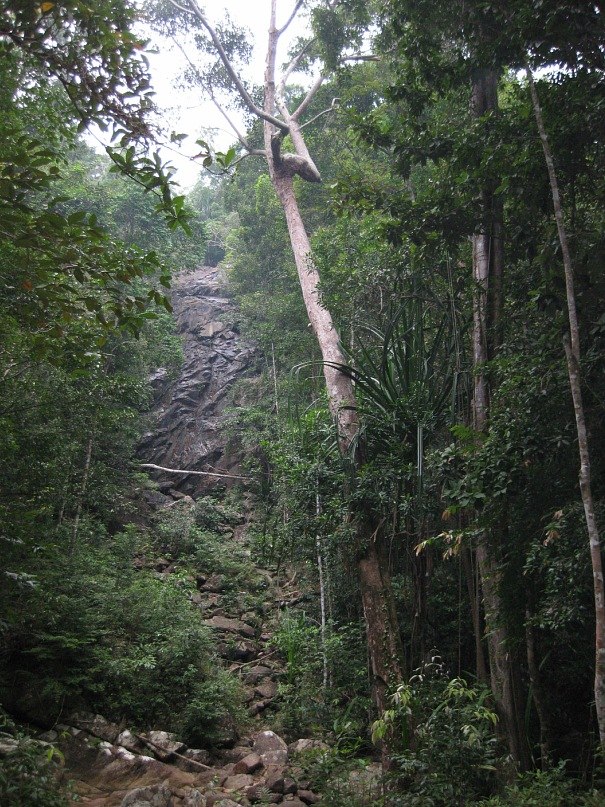Феофана Ромашкина | Санкт-Петербург