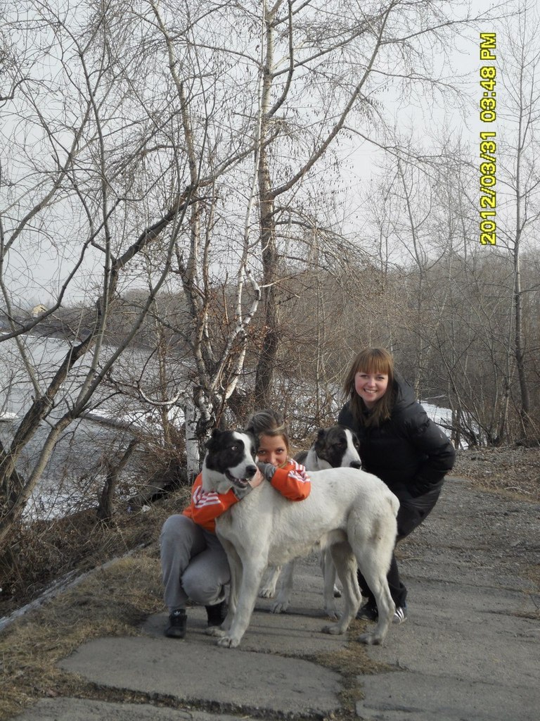 Юлия Бердник | Новокузнецк