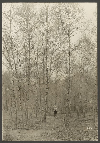 Анна Ярмош | Москва