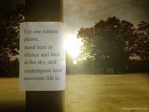 Лилия Аглямзянова | Севастополь