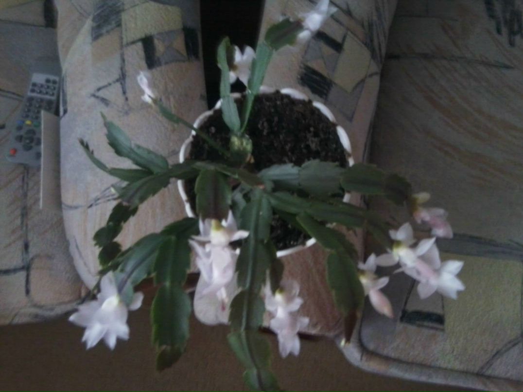 Марина Зыкрина | Николаев