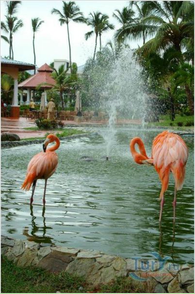 №41, Яна Алексейчук, Санкт-Петербург №41, Яна Алексейчук, Санкт-Петербург