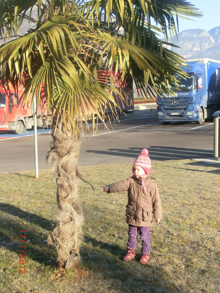 Марианна Лерх | Новосибирск