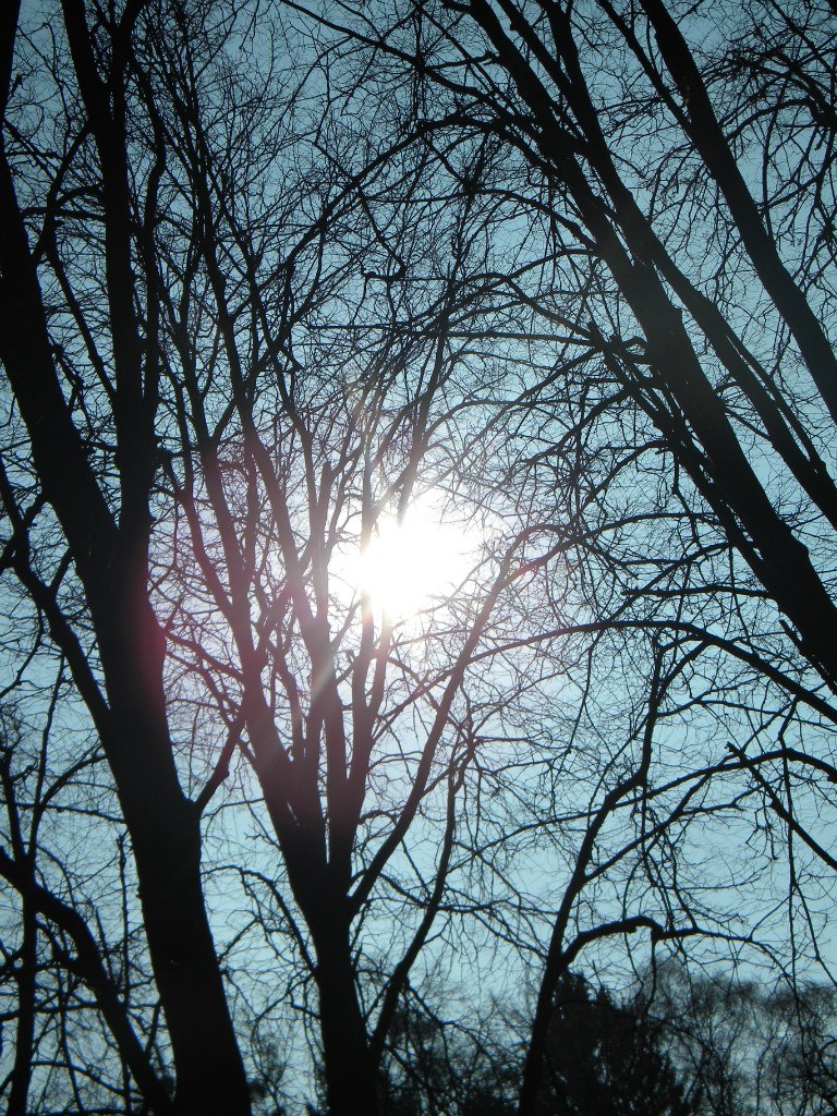 Тарас Грицько | Львов