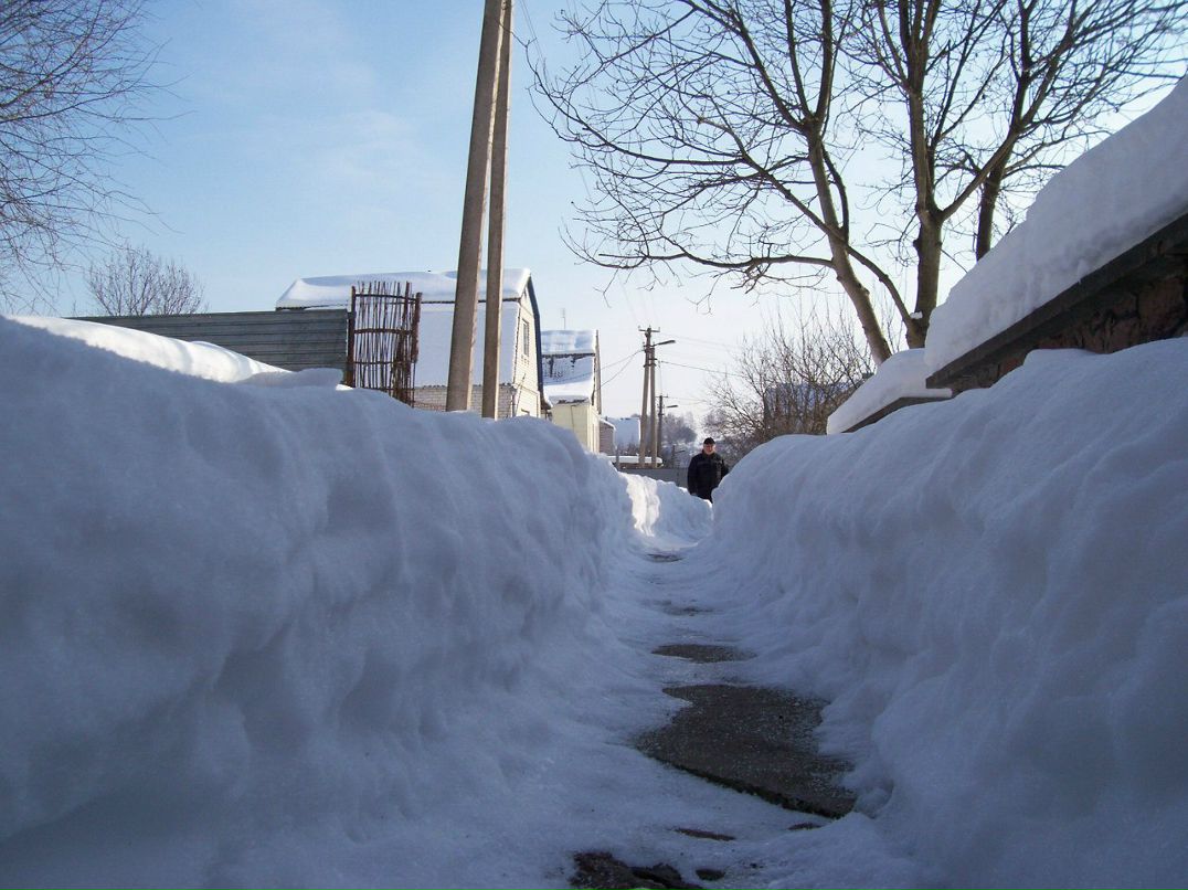 Макс Лукьяненко | Саратов