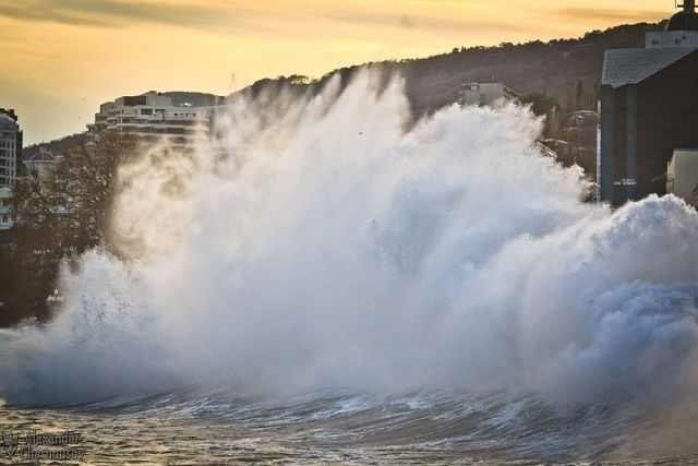 Елисей Бороздин | Ялта