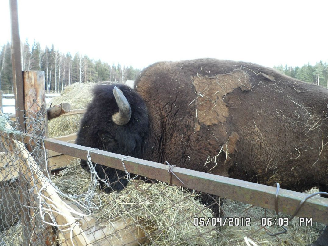 Алекс Бондарь | Санкт-Петербург