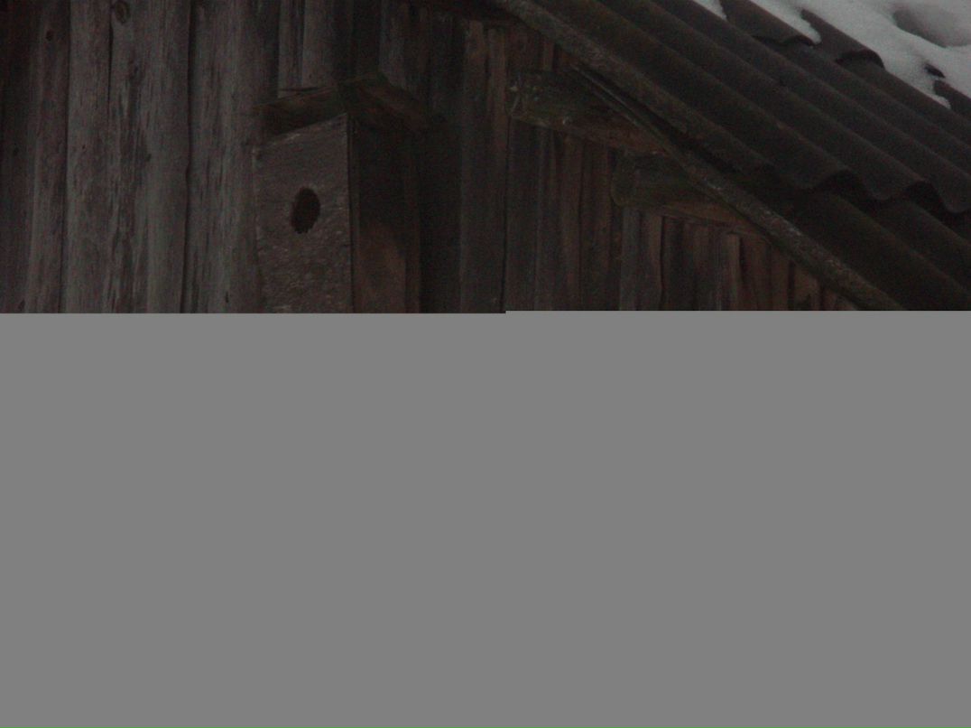 Ольга Крючкова | Москва