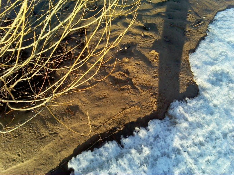 Виктория Дмитриева | Санкт-Петербург