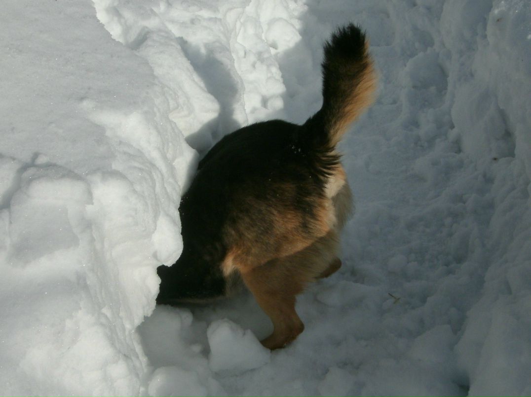 Павел Васильев тамада диджей | Санкт-Петербург