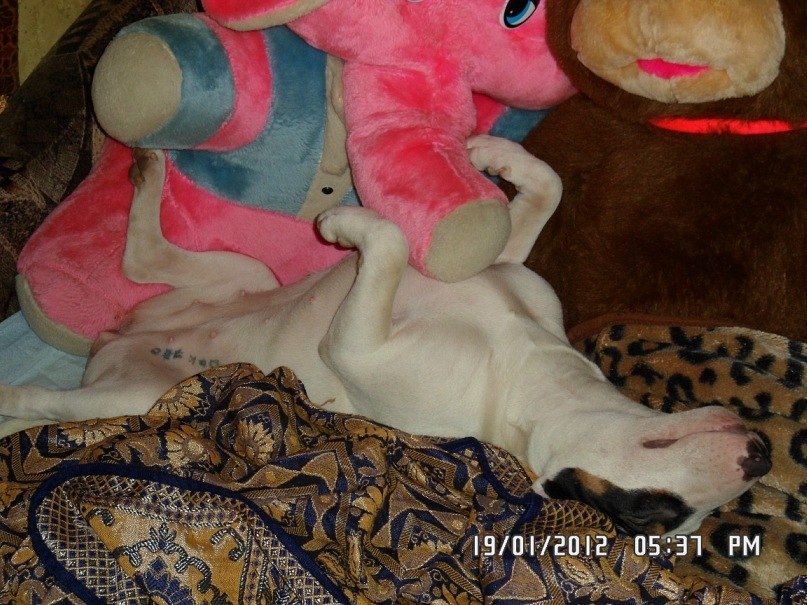 Наталья Бреславцева | Воронеж