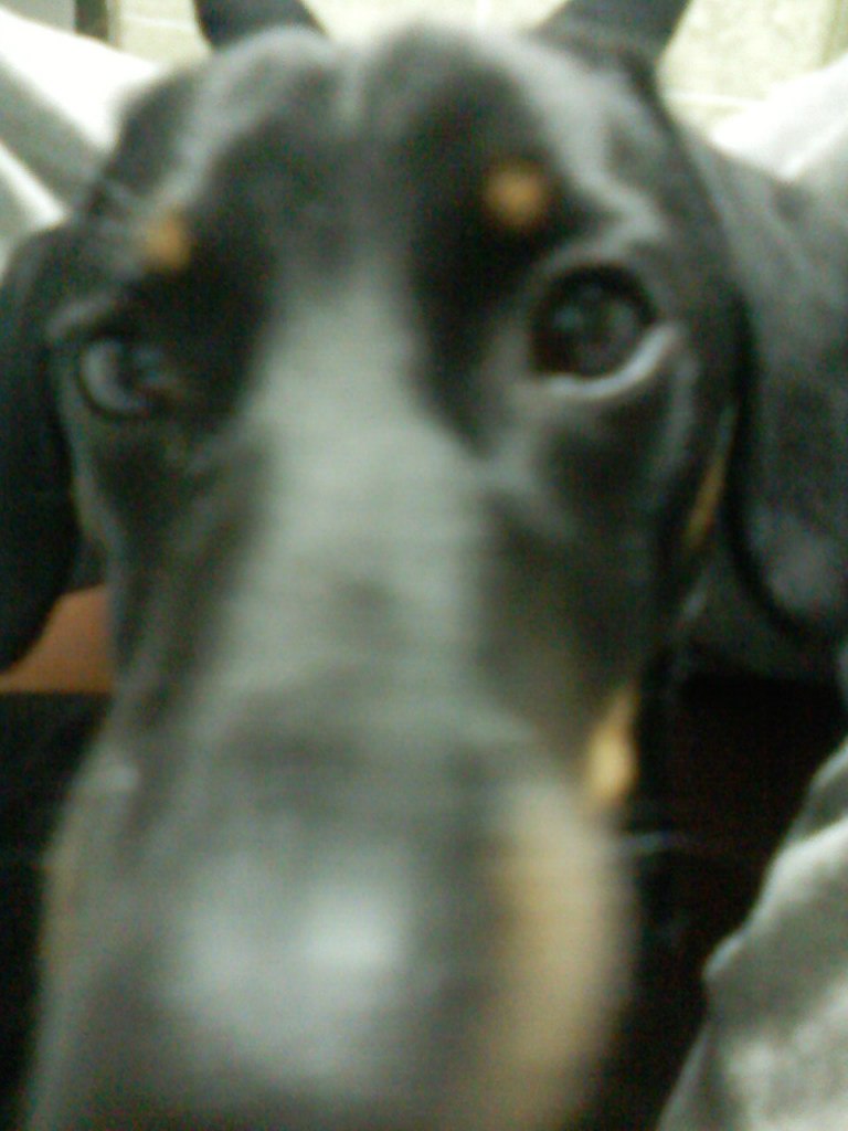 Евгения Кательникова | Краснодар