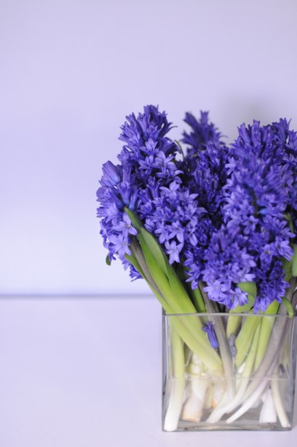 Маргарита Давлятшина *pachi* | Madrid