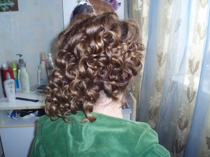 Елена Твердохлеб | Васильков