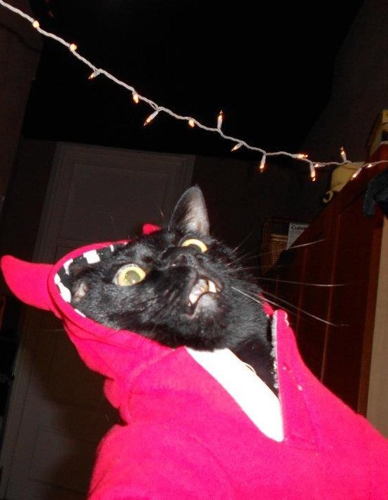 Павел Терещенков ¯̿ | Хабаровск