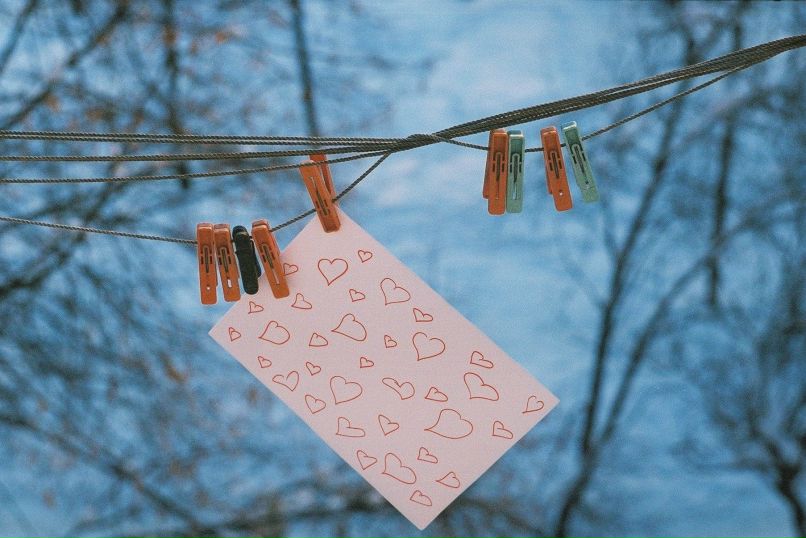 Антон Соловей | 