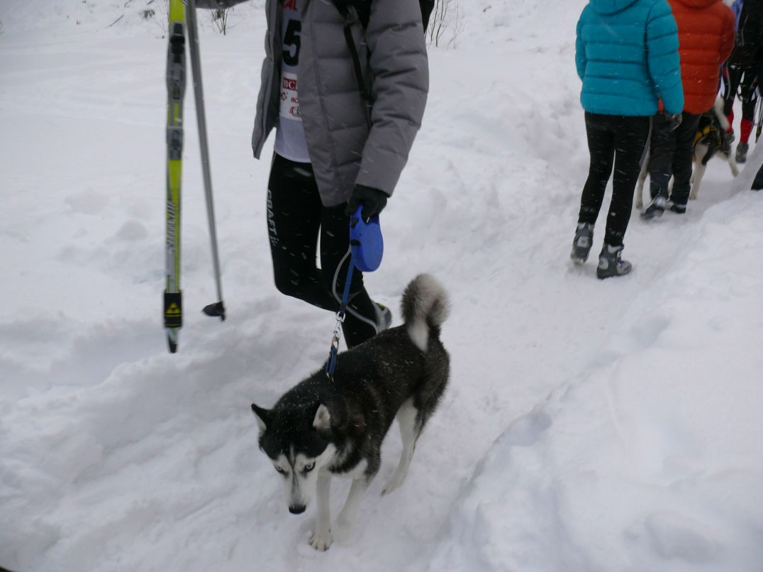 Екатерина Виноградова | Петрозаводск