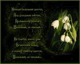 №7 Диана Юртова 22.11: профиль, фото, статус - ВКонтакте