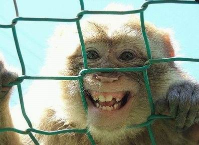 №1, Murat Maldybai, Алматы, Казахстан №1, Murat Maldybai, Алматы, Казахстан