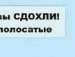 Михаил Просто-Миха фотография #21