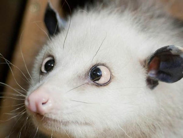 №22, Катя Ермоленко, 37 лет, Киев №22, Катя Ермоленко, 37 лет, Киев