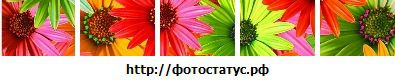 Фотография Актябрина Актябринская