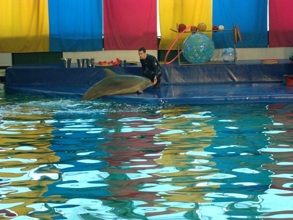 №116, Оля Мельник №116, Оля Мельник