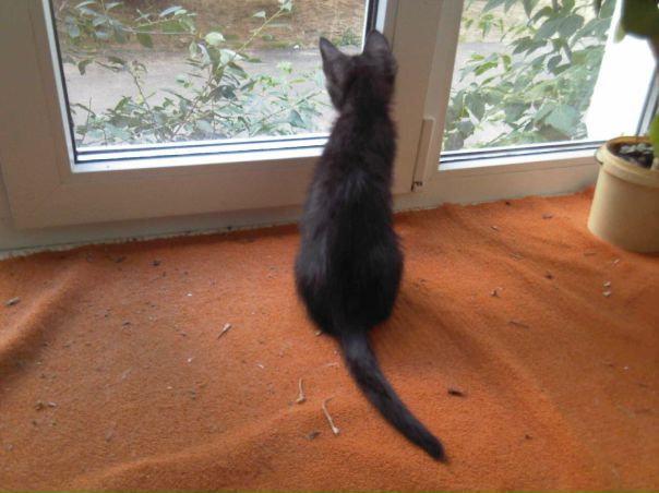 №103, Анна Кошмарова, 30 лет, Санкт-Петербург №103, Анна Кошмарова, 30 лет, Санкт-Петербург