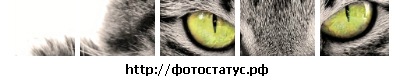 №27, Анастасия Белая, Херсон №27, Анастасия Белая, Херсон