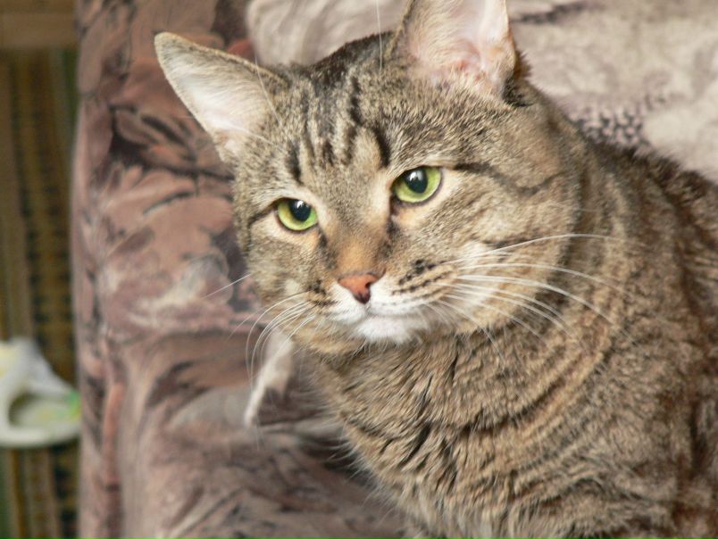 №42, Ирина Сильвер, 36 лет, Уфа №42, Ирина Сильвер, 36 лет, Уфа