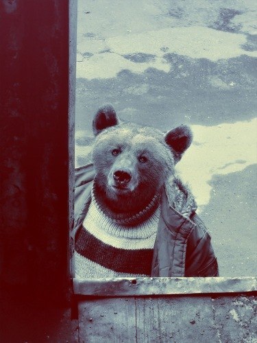 Сергей Курченко | 