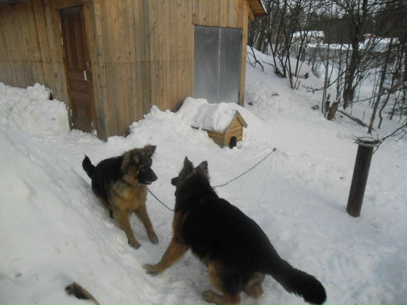 Виктор Конюхов | Питкяранта