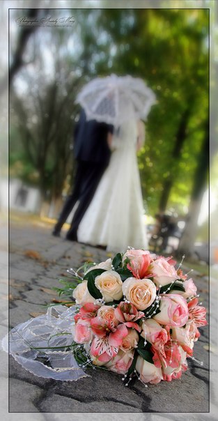 №113, Юля Ващук, Львов №113, Юля Ващук, Львов