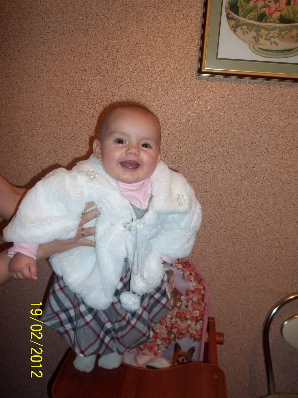 Инна Шимкович | Тернополь