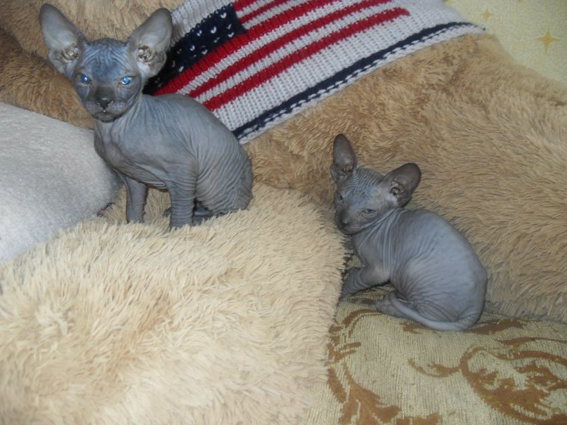 Стефания Кряжева | Якутск